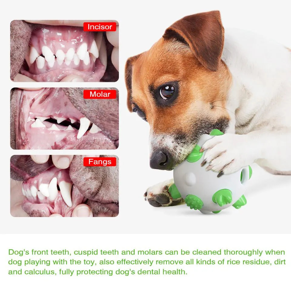 Dog teething chew toy ball with serrated bumps in blue, green, and yellow options