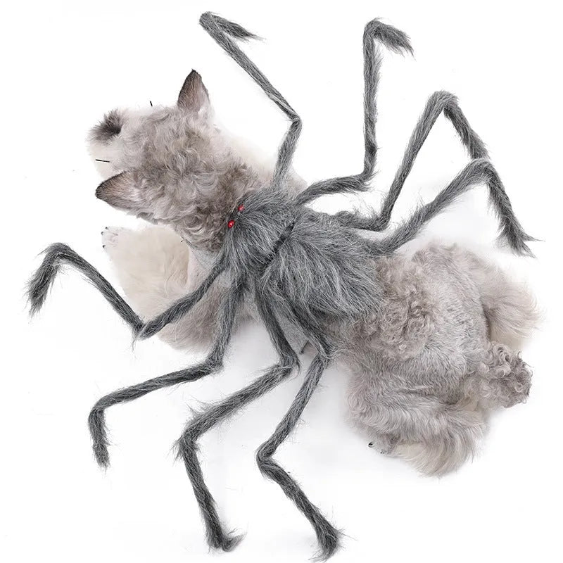 Grey big spider Halloween costume on a dog, showing back and leg coverings.