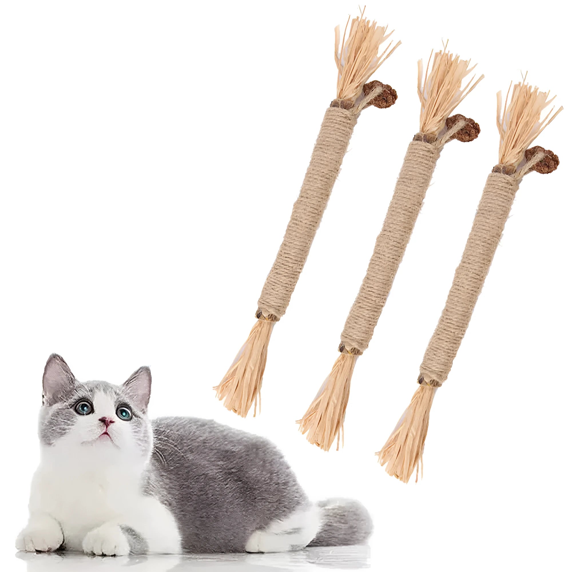 A pack of three natural silvervine chew sticks for cats with sisal rope, for dental care and enrichment.