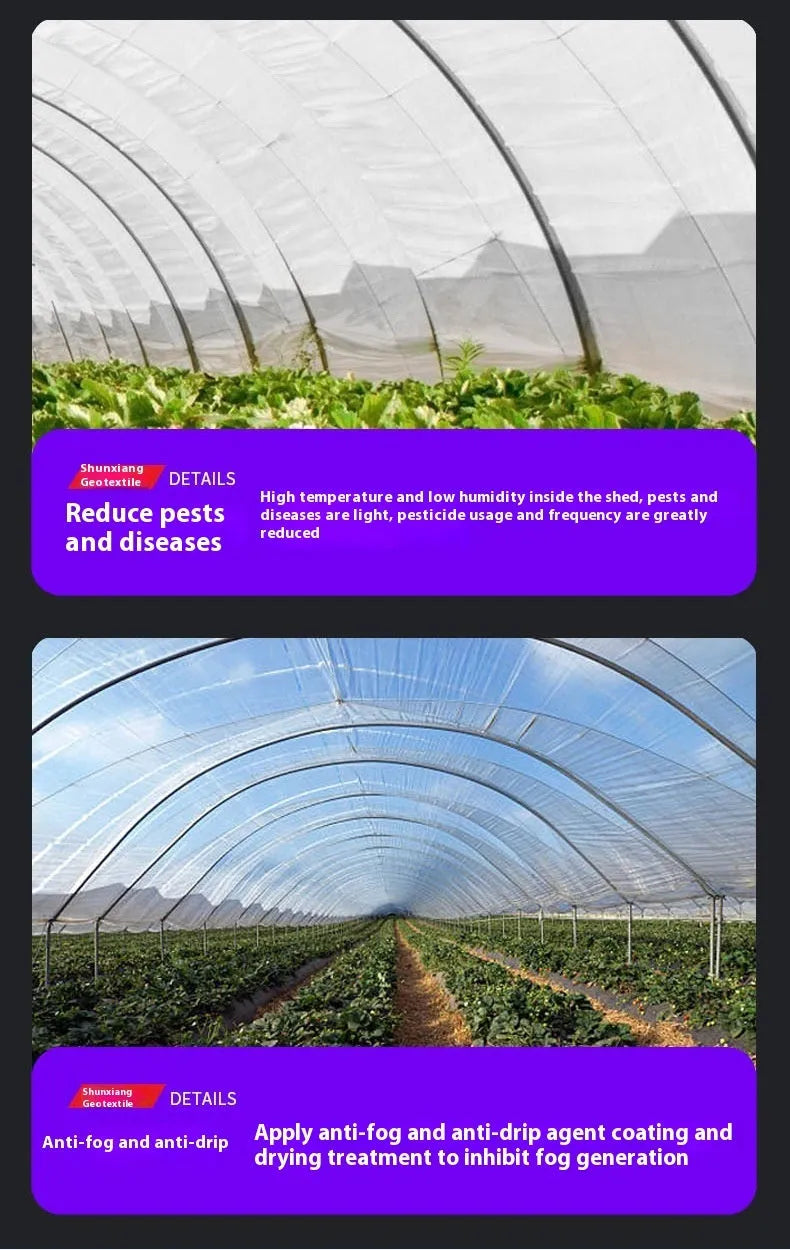 Plastic greenhouse film sheet for vegetable shed insulation, 4 metres by 8 metres
