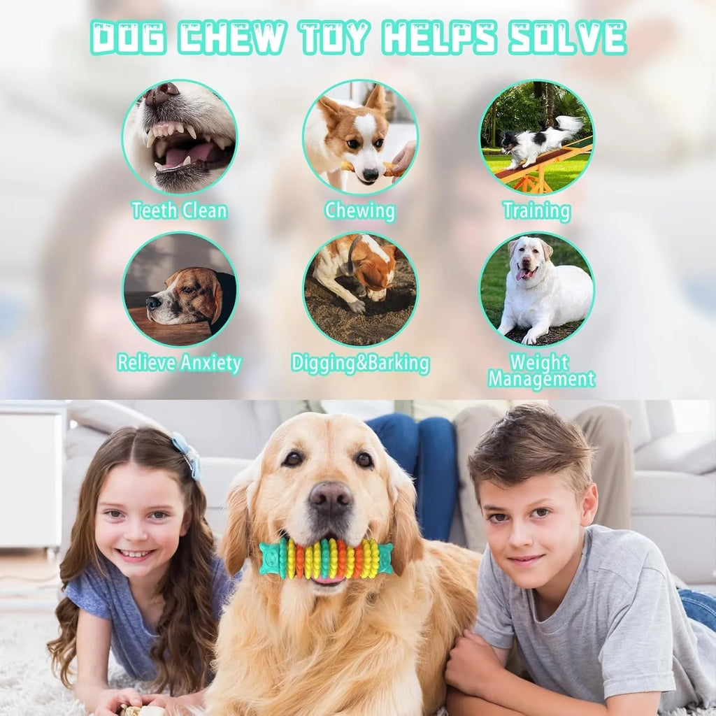 Blue green and pink caterpillar-shaped durable rubber dog chew toy for aggressive chewers.