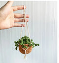 Green and white knitted wool car plant decoration with 8cm base and 25cm rope