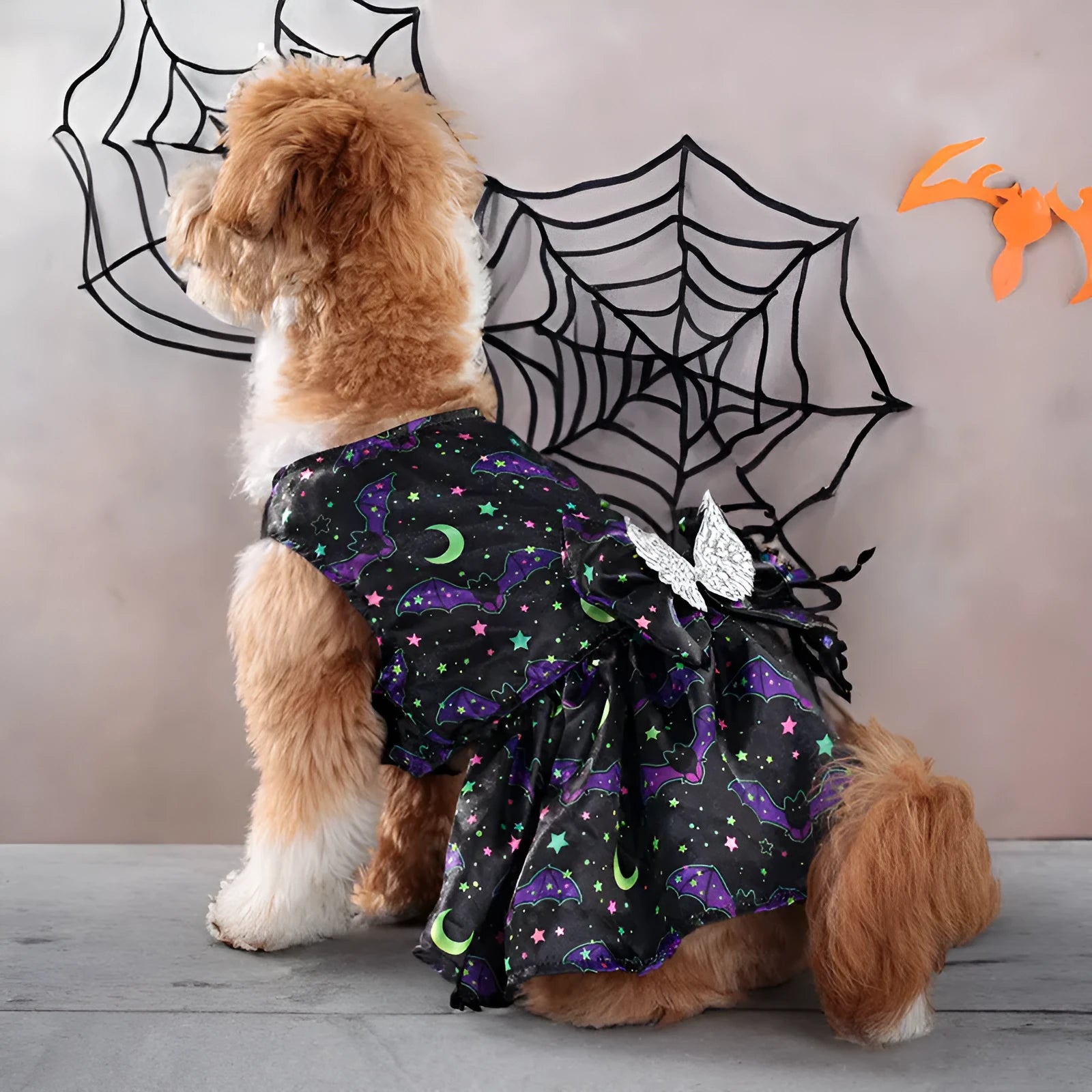 Angel wings Halloween dog costume in bright pumpkin orange and bat pattern colours