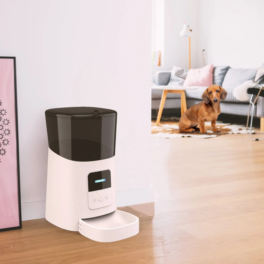 Automatic plastic pet feeder disassembled into 4 parts pan and grain barrel for cleaning