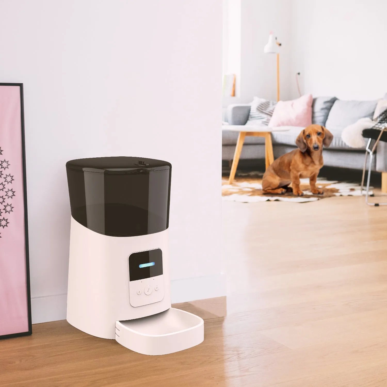 Automatic plastic pet feeder disassembled into 4 parts pan and grain barrel for cleaning