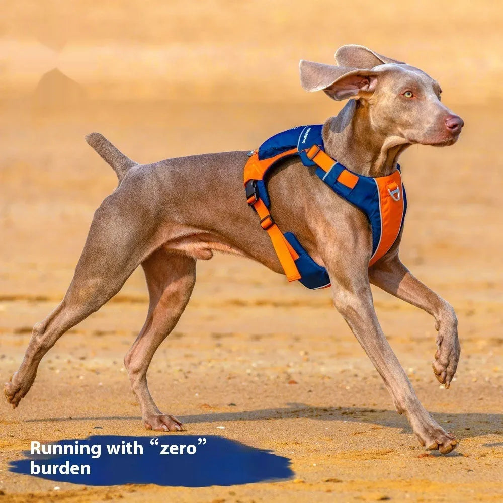 Orange blue nylon dog chest strap vest harness for medium large dogs