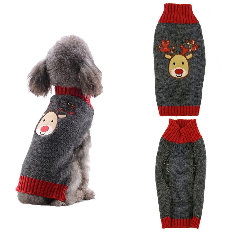 Small dog wearing a grey acrylic Christmas sweater with a red pompom detail