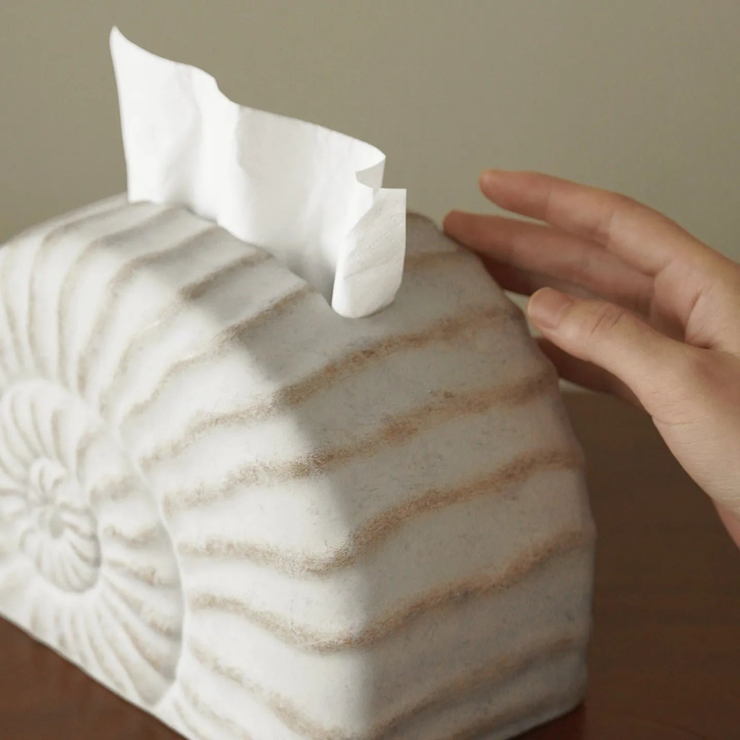 Creative Conch Ramble coloured resin decorative tissue box with modern simplicity design.