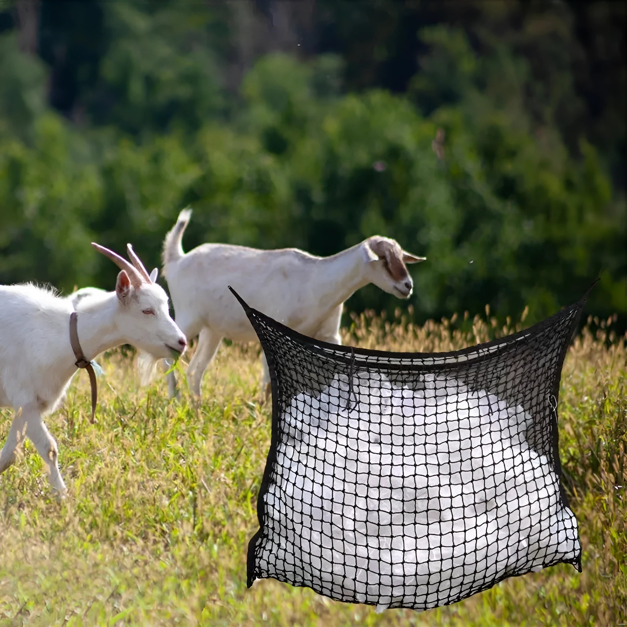 Black woven PE rope mesh feeding bag for horses hanging on a fence