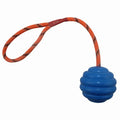 Multi-colour rubber dog toy ball with rope knot attachment for interactive training