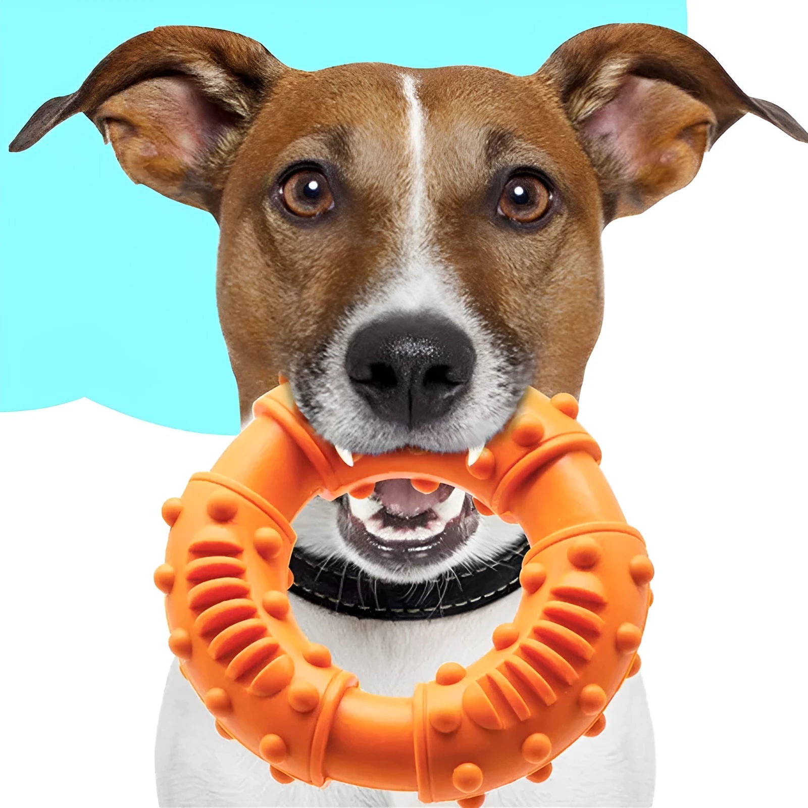 Blue orange red dog fetching stick toy with hollow centre for safe chew and fetch games