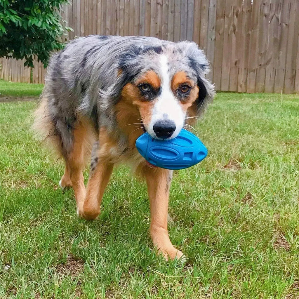 Blue green orange natural rubber squeaky dog chew toy for large breed dogs