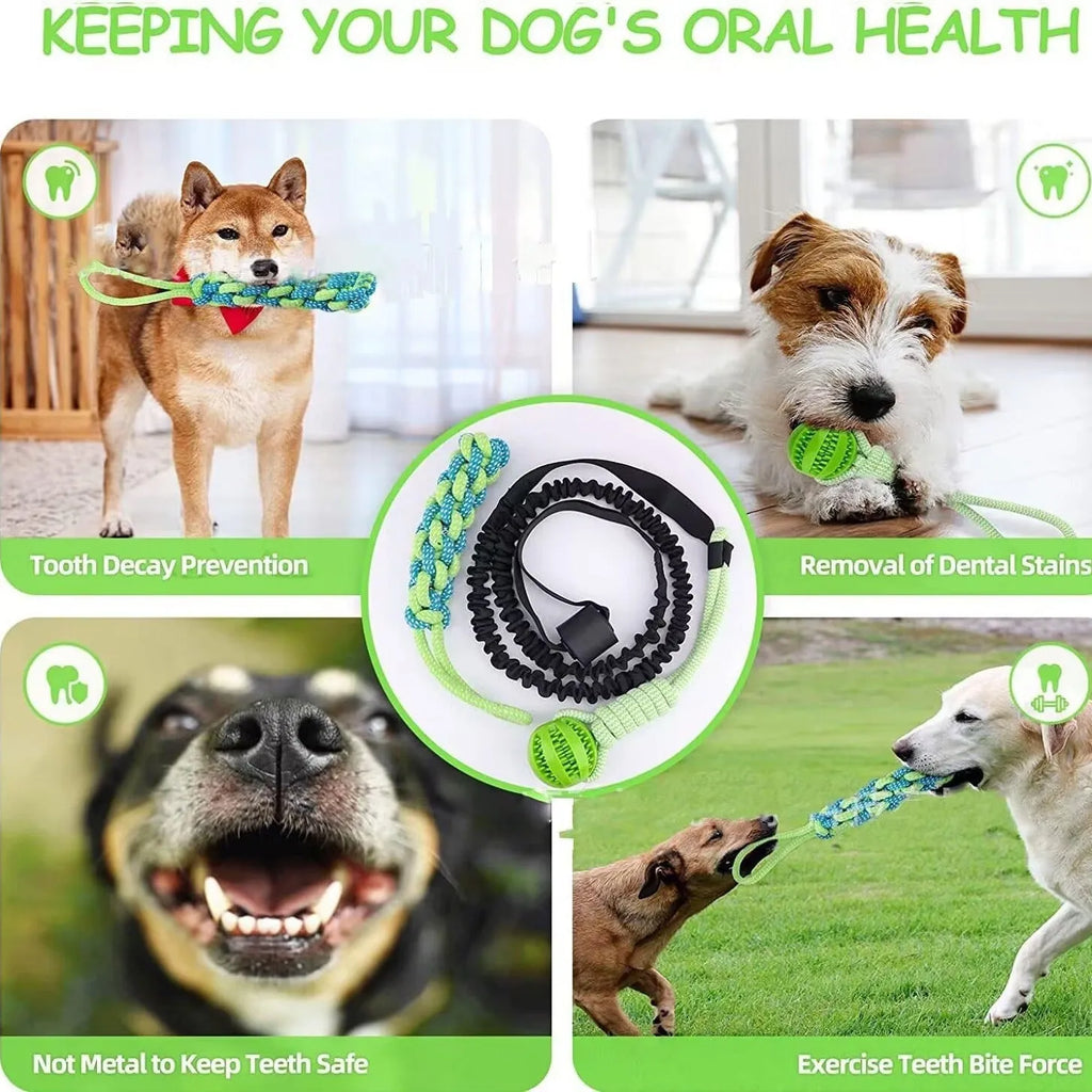 Green corncob handle dog tug rope toy made of cotton thread for bite and pull play