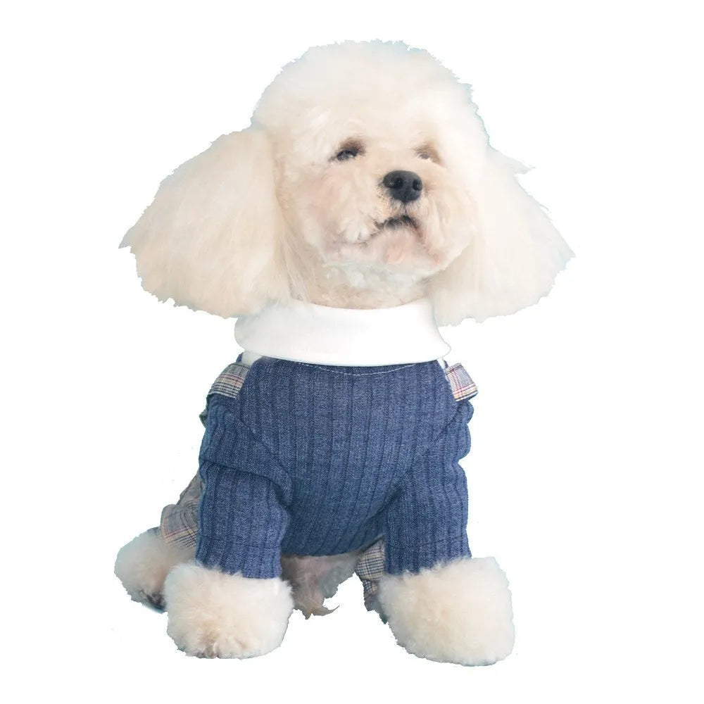 Orange and dark blue cotton dog shirt suit for small breeds with S-2XL size options