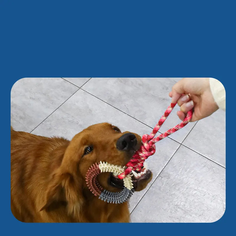 Blue braided rope dog toy with knots, showing length of 43cm
