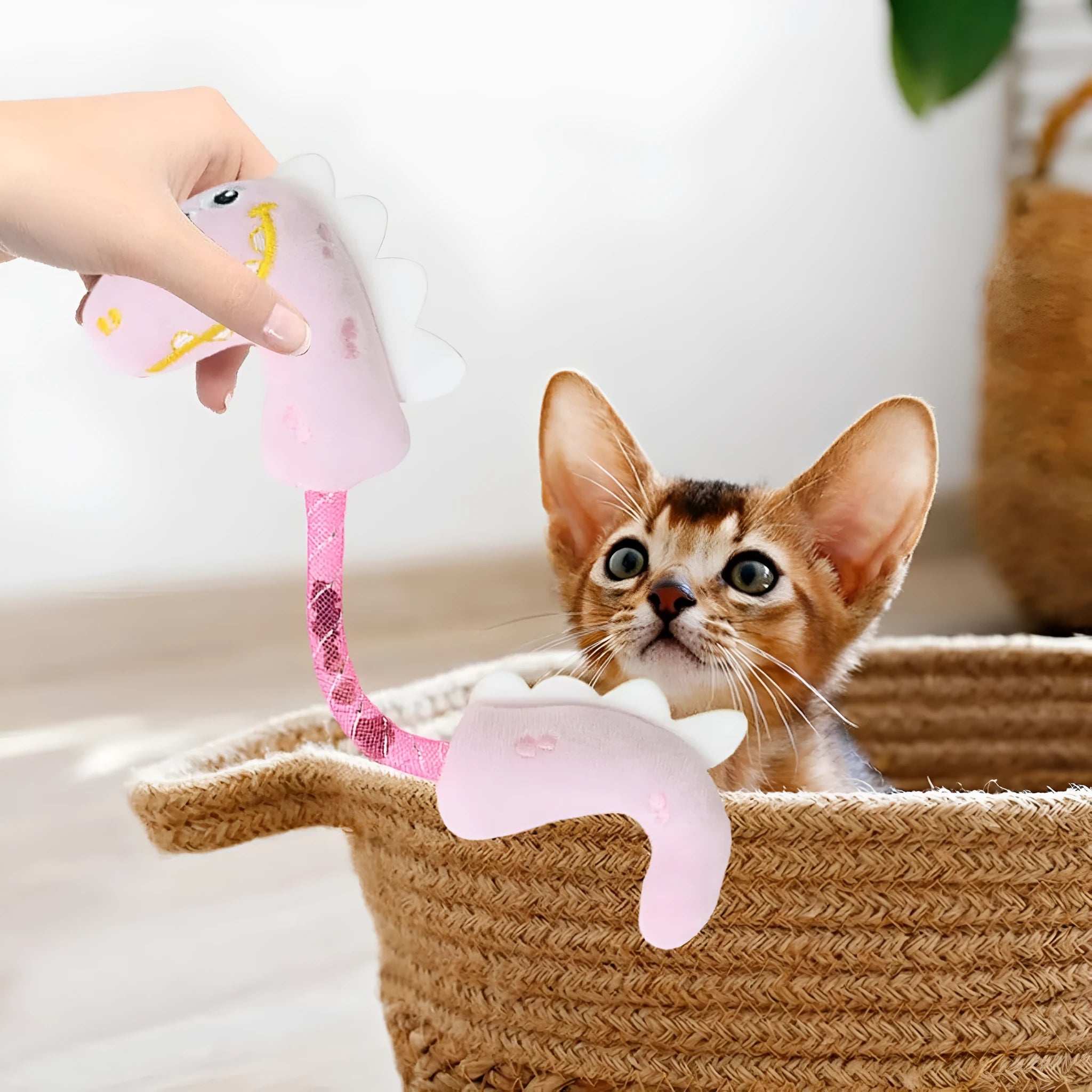Four plush cat toys including catnip chew toy, squeaky mouse, textured fish, and bunny for indoor play
