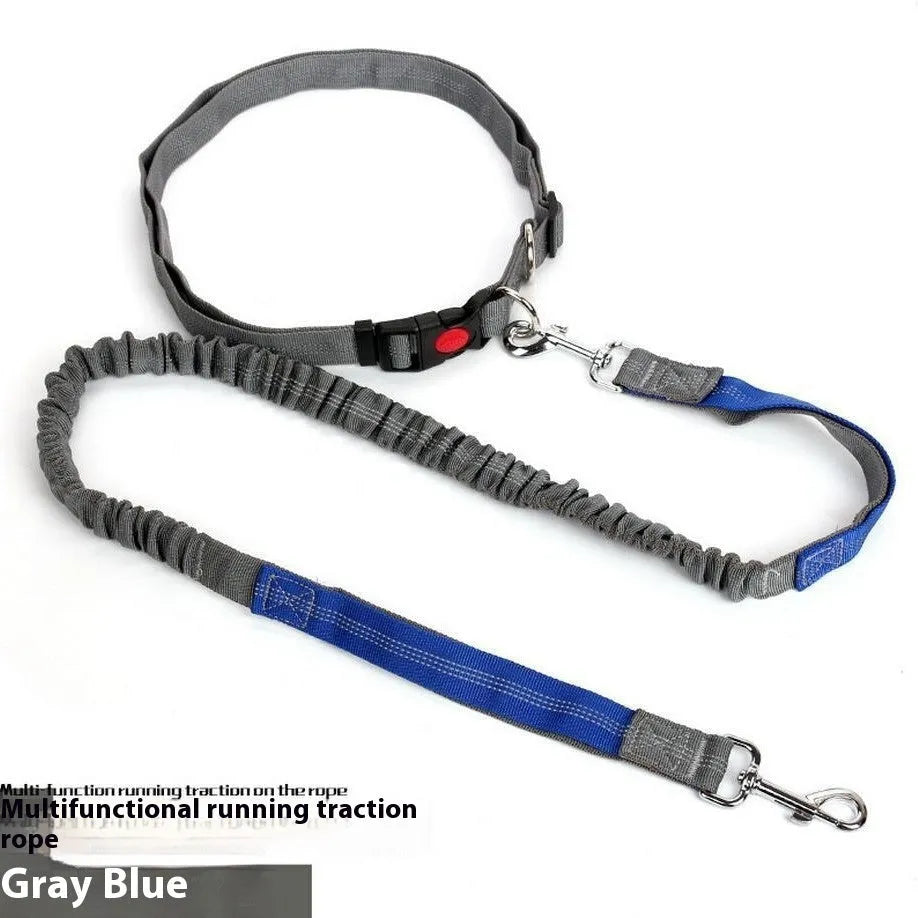 Outdoor dog leash with reflective elements in grey and blue colour combination
