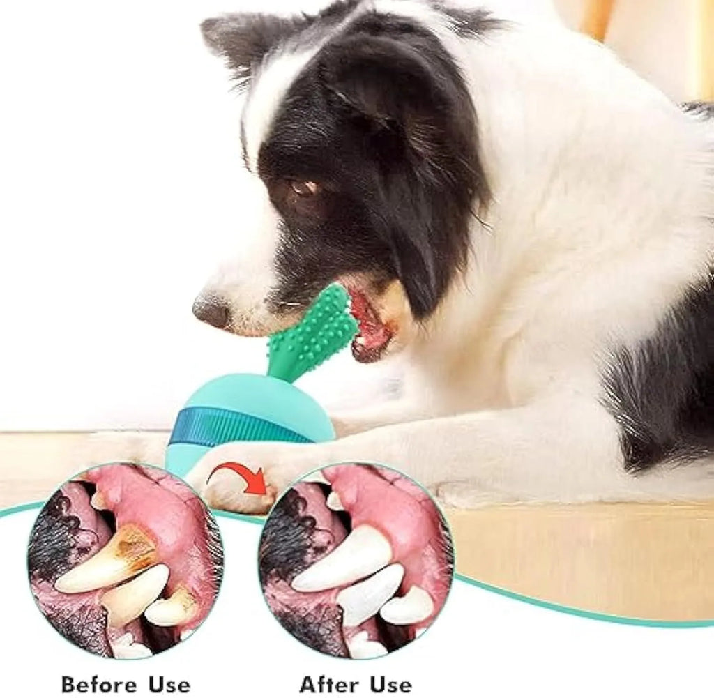 Durable rubber treat dispensing dog toy in tumbler ball shape for medium to large breeds