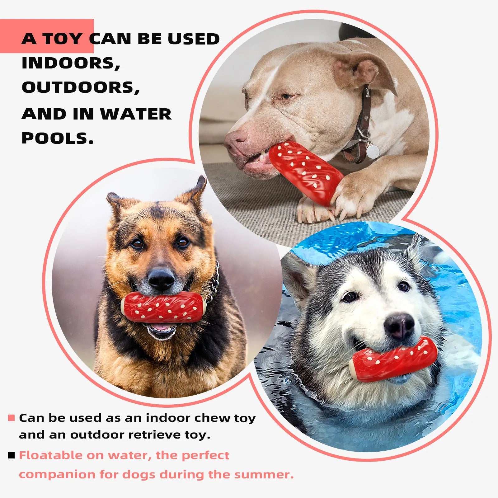 Primary colour plastic dog chew toy with molar rod shape for dental gnawing