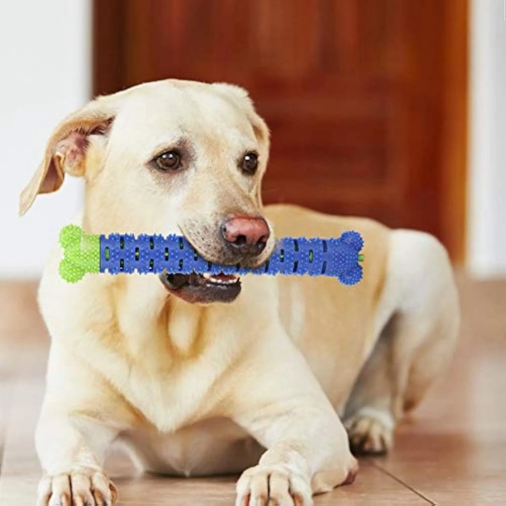 Blue silicone dog dental chew toy with serrated brush head and crevice for toothpaste insertion