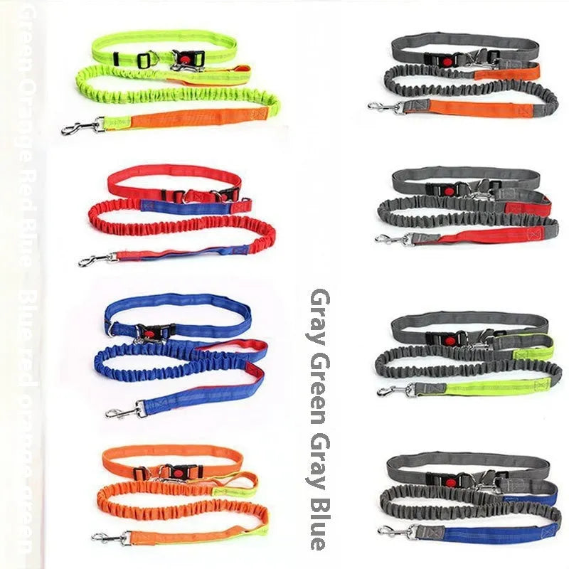 Outdoor dog leash with reflective elements in grey and blue colour combination