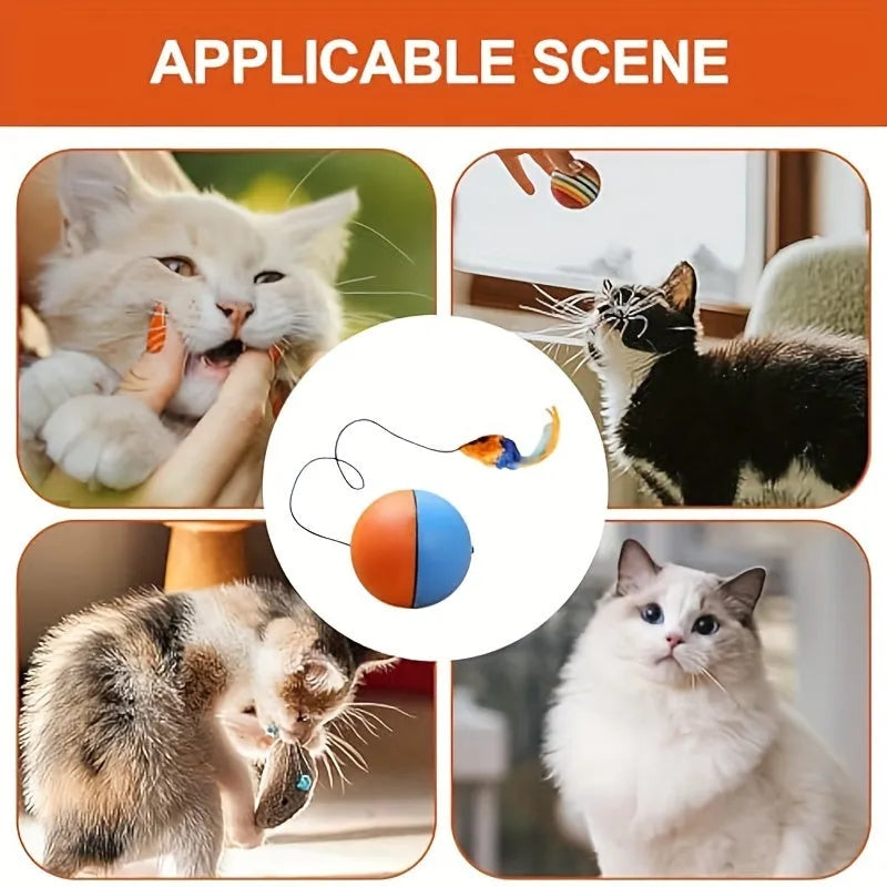 Interactive cat toy with grey and orange plush mouse, ball, and feather tail for feline exercise