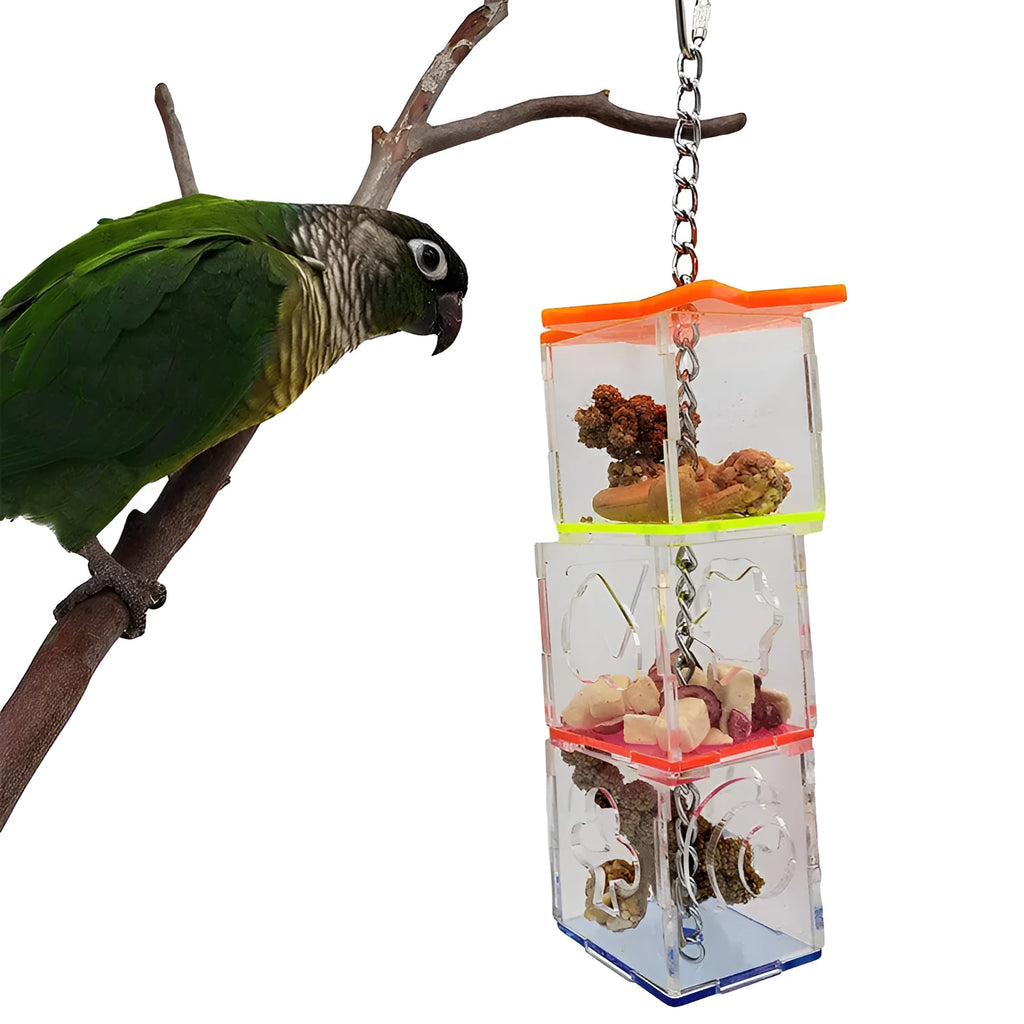 Clear acrylic parrot foraging toy with 5x5x32cm dimensions for bird enrichment