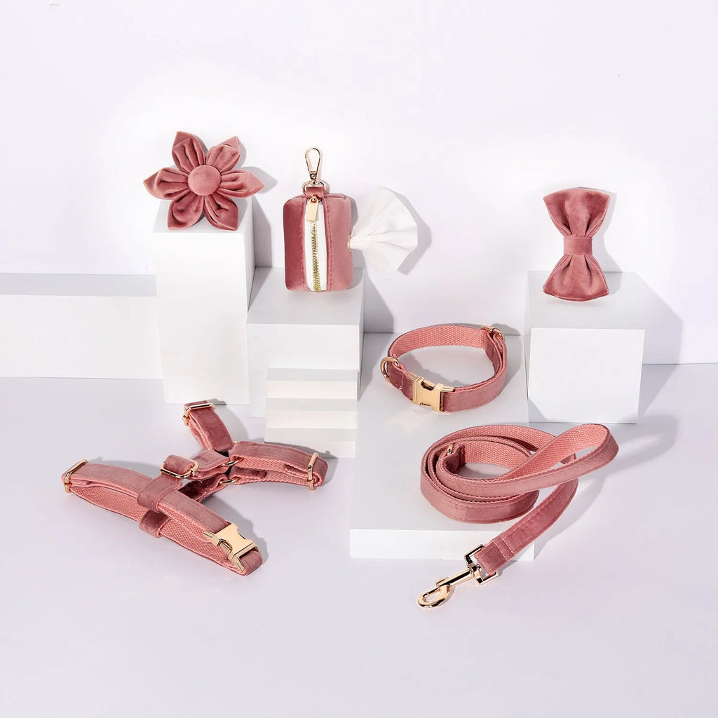 Velvet dog collar and harness set with matching bow tie and flower accessory