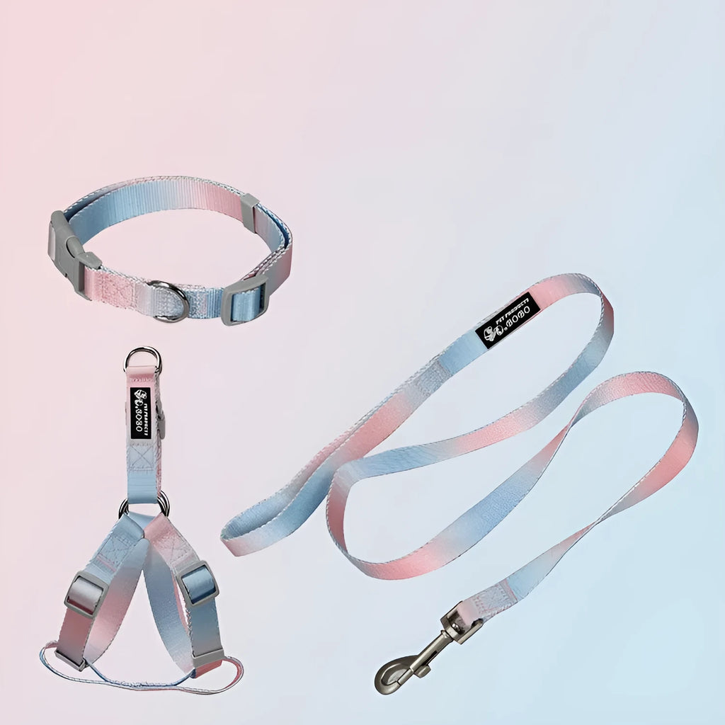 Nylon dog leash set with gradient colours in collar, bracelet and chest strap styles