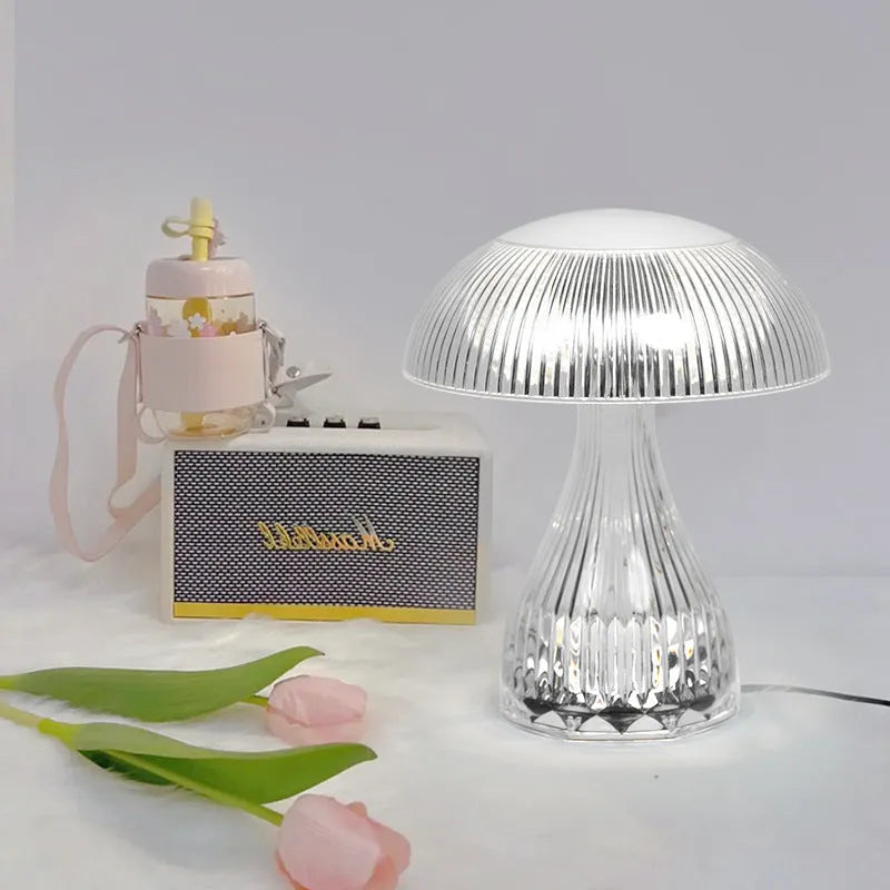 USB rechargeable touch control night lamp with three colour changing modes and 20x16cm acrylic body