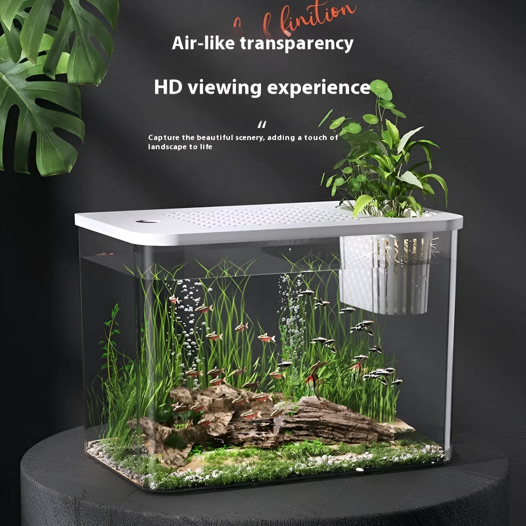 Clear plastic mini betta fish tank with a fitted cover, shown in black and white colour options.