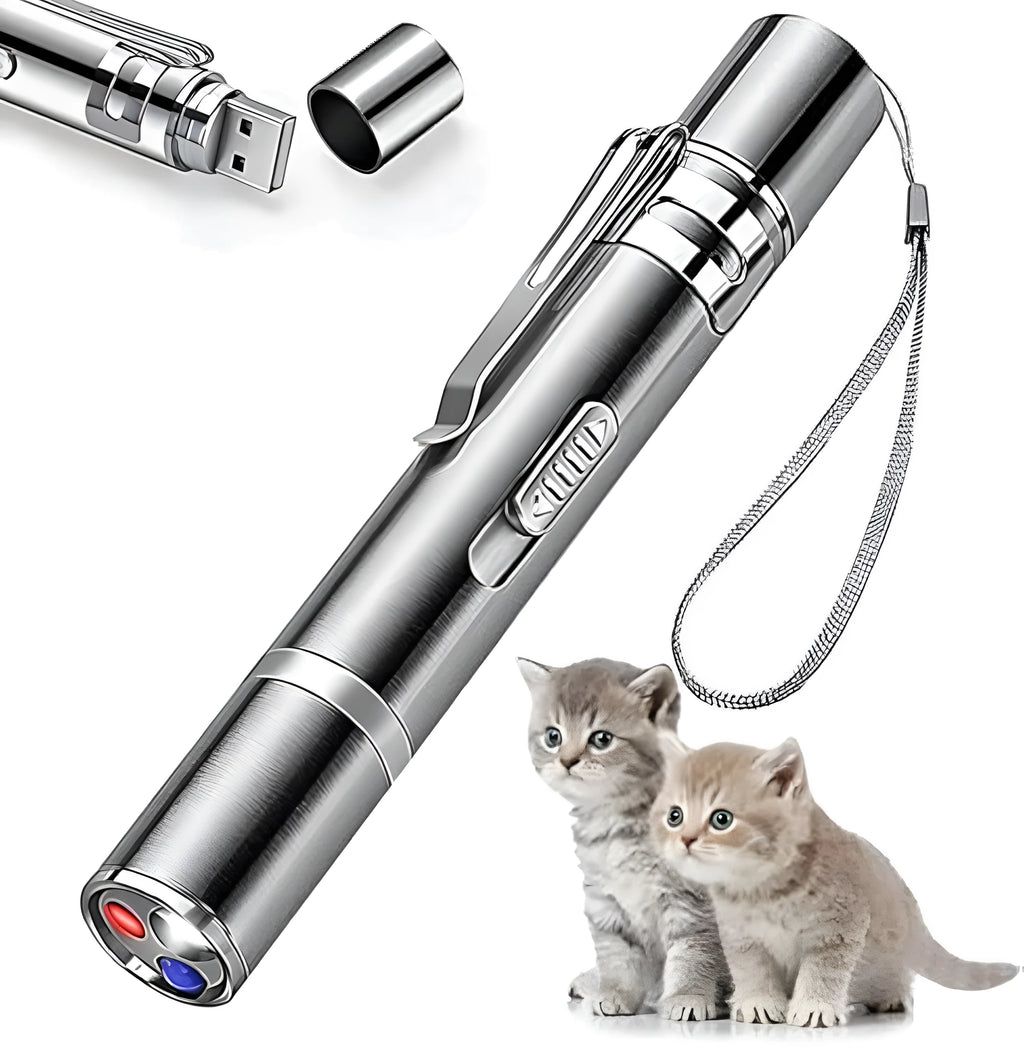 Silver aluminium cat laser pointer toy with USB charging port and selection gear