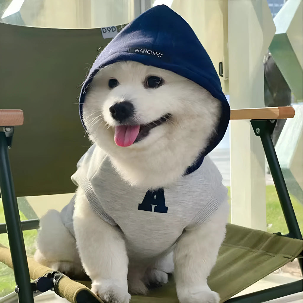 Blue and grey white pet hoodie sweater with reflective letters for cats and dogs