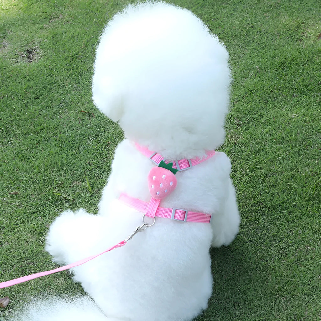 Reflective vest-style dog walking lead with chest strap for small dogs in carrot, strawberry or avocado colours