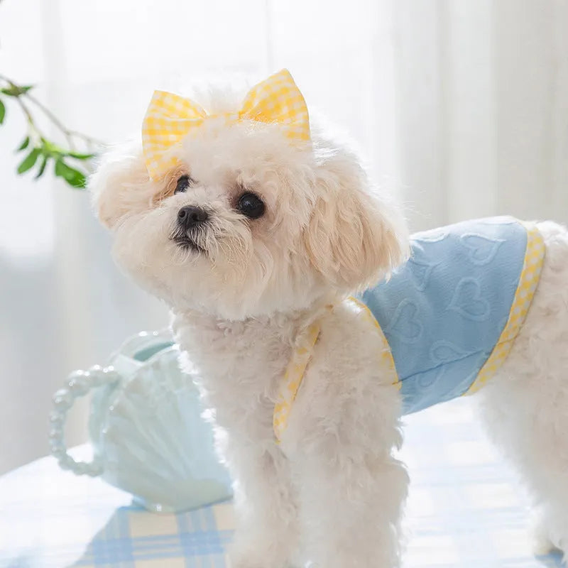 Small dog wearing elastic suspenders vest with heart relief bow in Bondi Blue colour