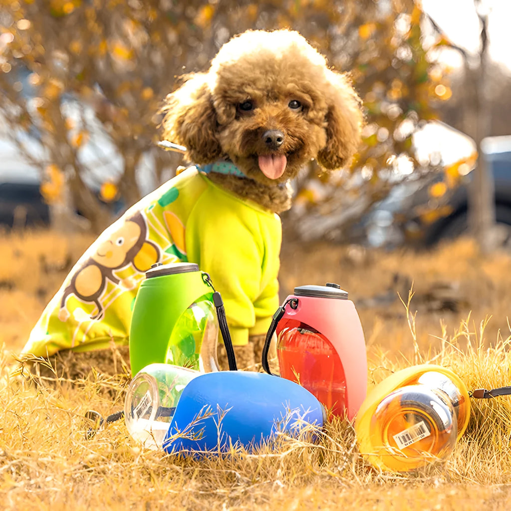 680ml portable pet water bottle for dogs cats with leak-proof seal in sky blue colour