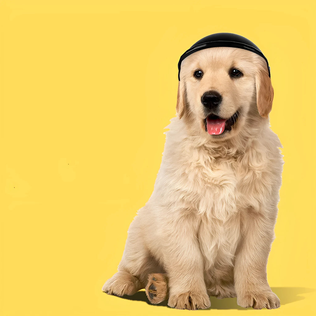 Small S-size plastic pet helmet for dogs and cats in black, green, pink, or yellow.