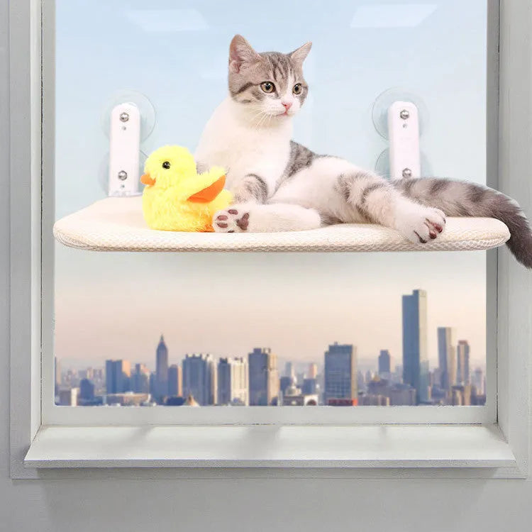 Stainless steel frame cat hammock with foldable cushion mounted on a window using suction cups.