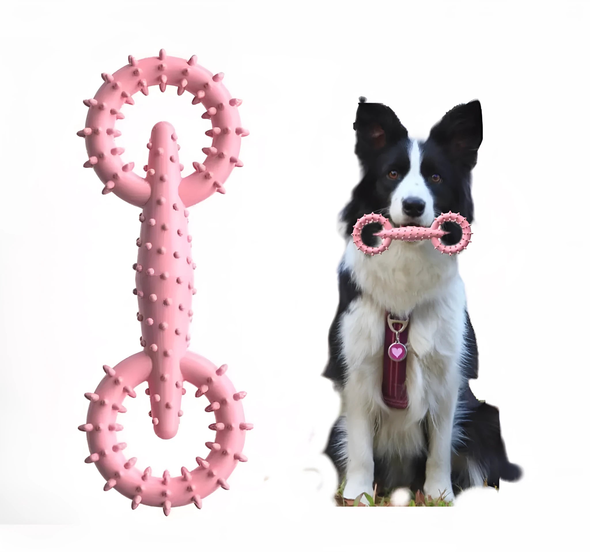 Blue TPR dog chew toy ring for teething puppies on a white background