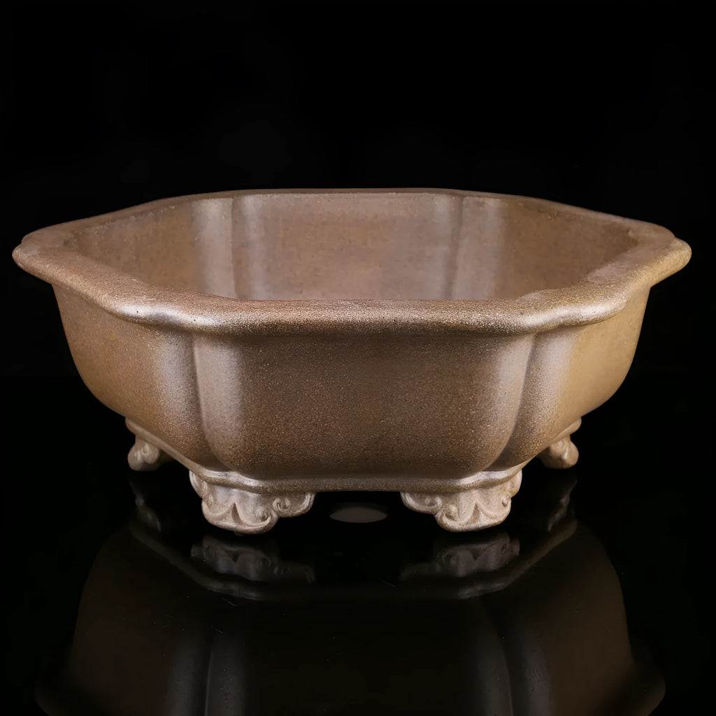 Handmade purple sand bonsai pot with hexagonal shape and Taiwan pine decorative motif