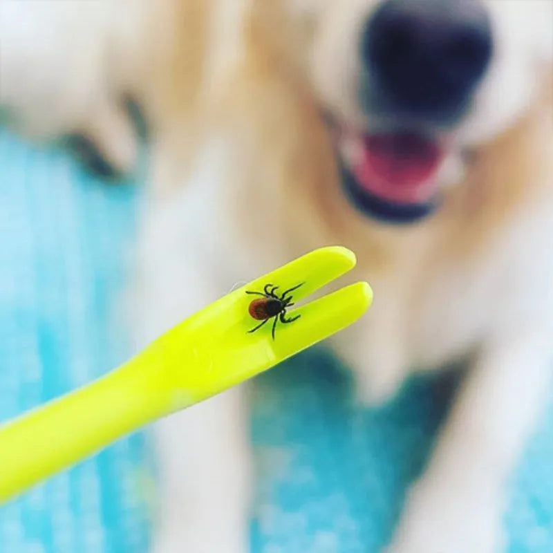 Set of three blue plastic pet tick removal hook tools on a white background.