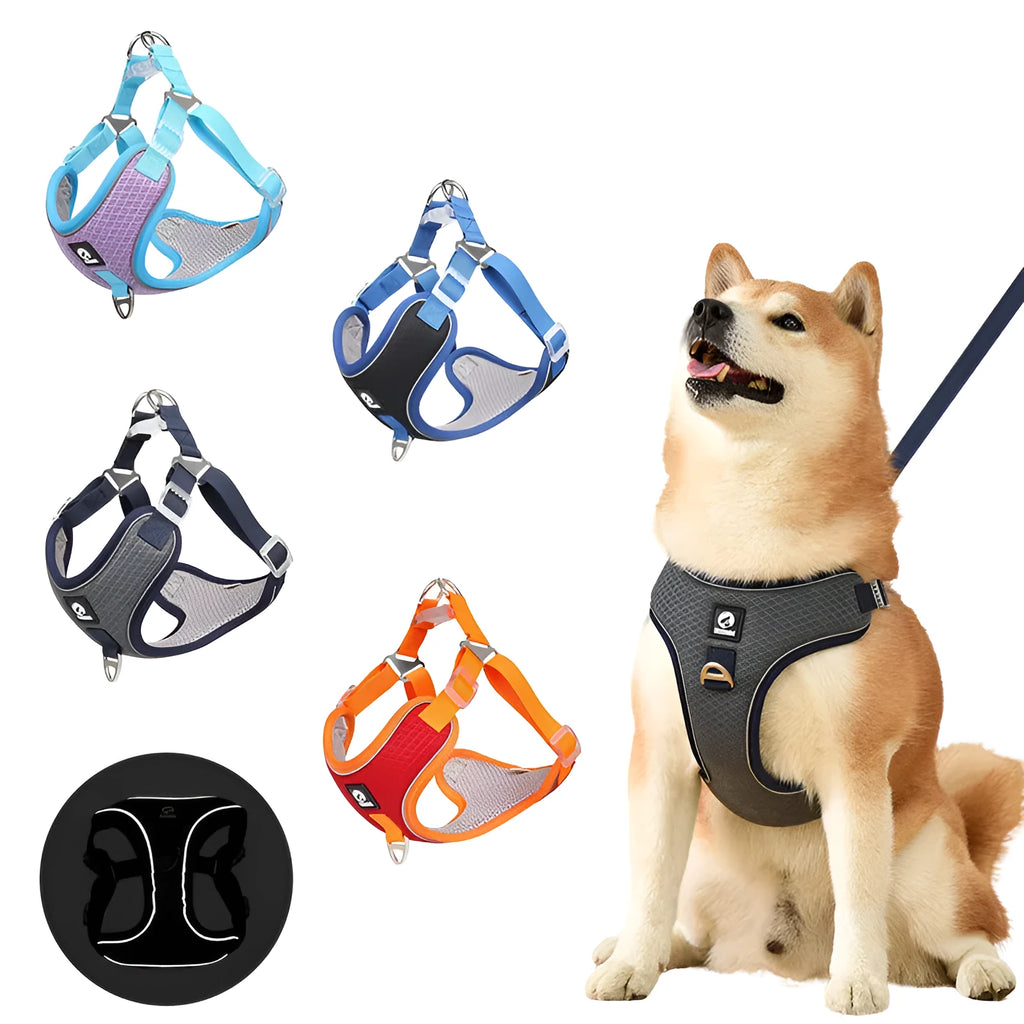 Breathable mesh dog harness with reflective piping and adjustable leash in red colour