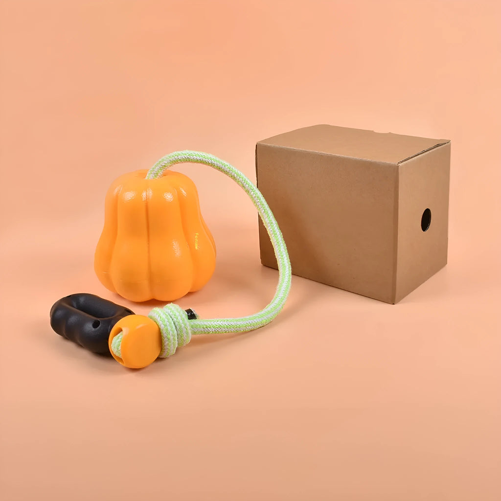 Orange plastic dog fetch toy with a built-in rope handle on a white background.
