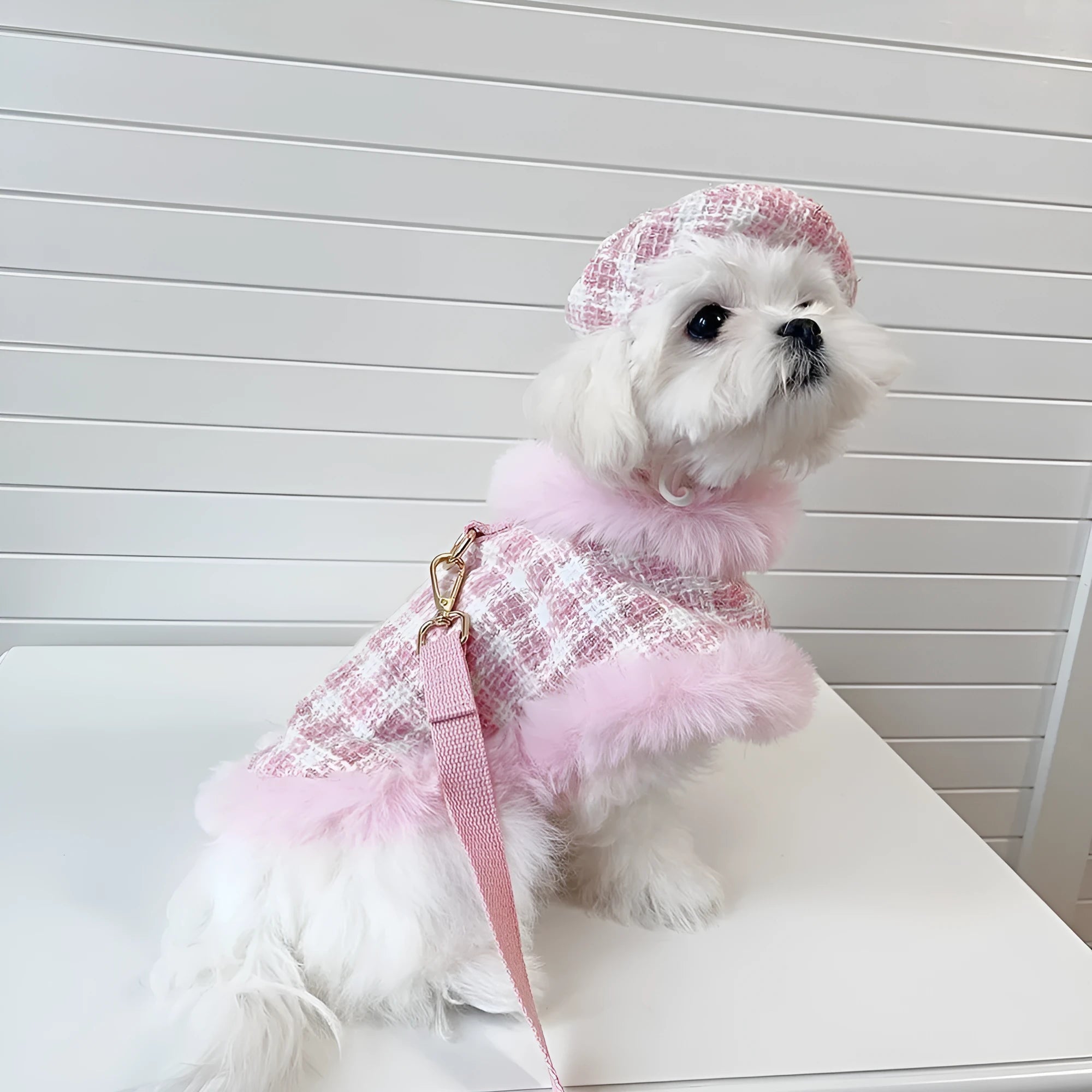Pink cat costume with cloak and hand holding rope on cat, showing chest and back traction design
