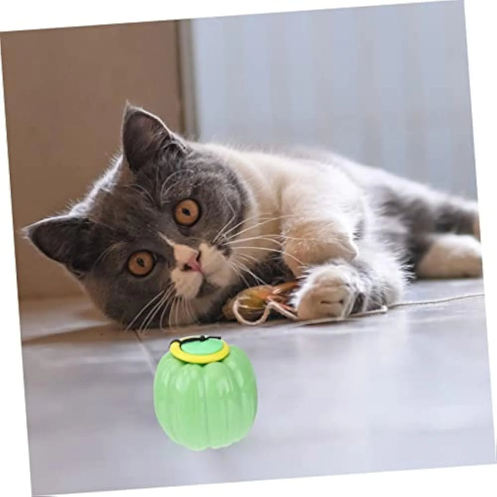 Orange pumpkin-shaped dog chew ball with squeaker for small dogs, measuring 69mm diameter