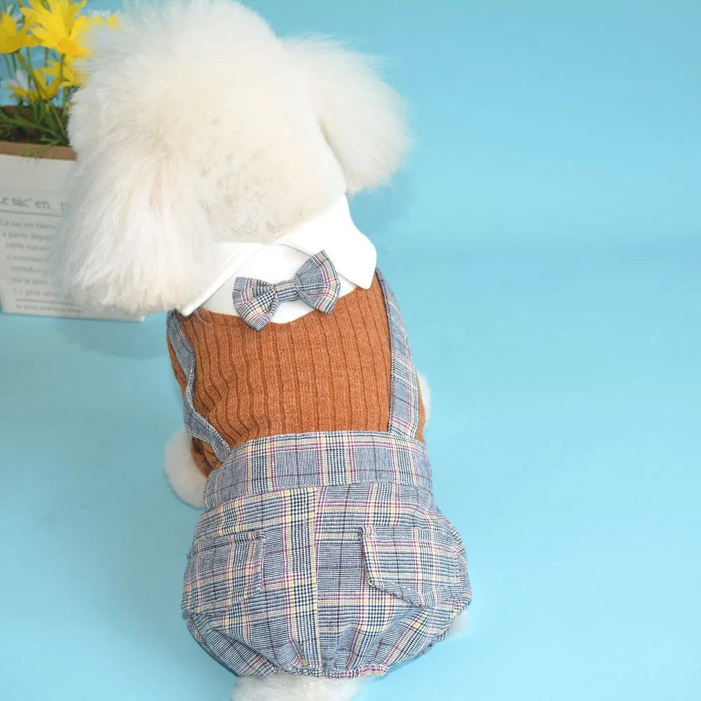 Orange and dark blue cotton dog shirt suit for small breeds with S-2XL size options