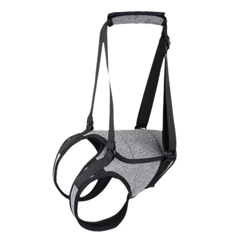 Grey neoprene dog rear leg recovery belt showing adjustable waist design