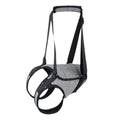 Grey neoprene dog rear leg recovery belt showing adjustable waist design