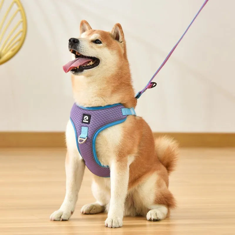 Breathable mesh dog harness with reflective piping and adjustable leash in red colour