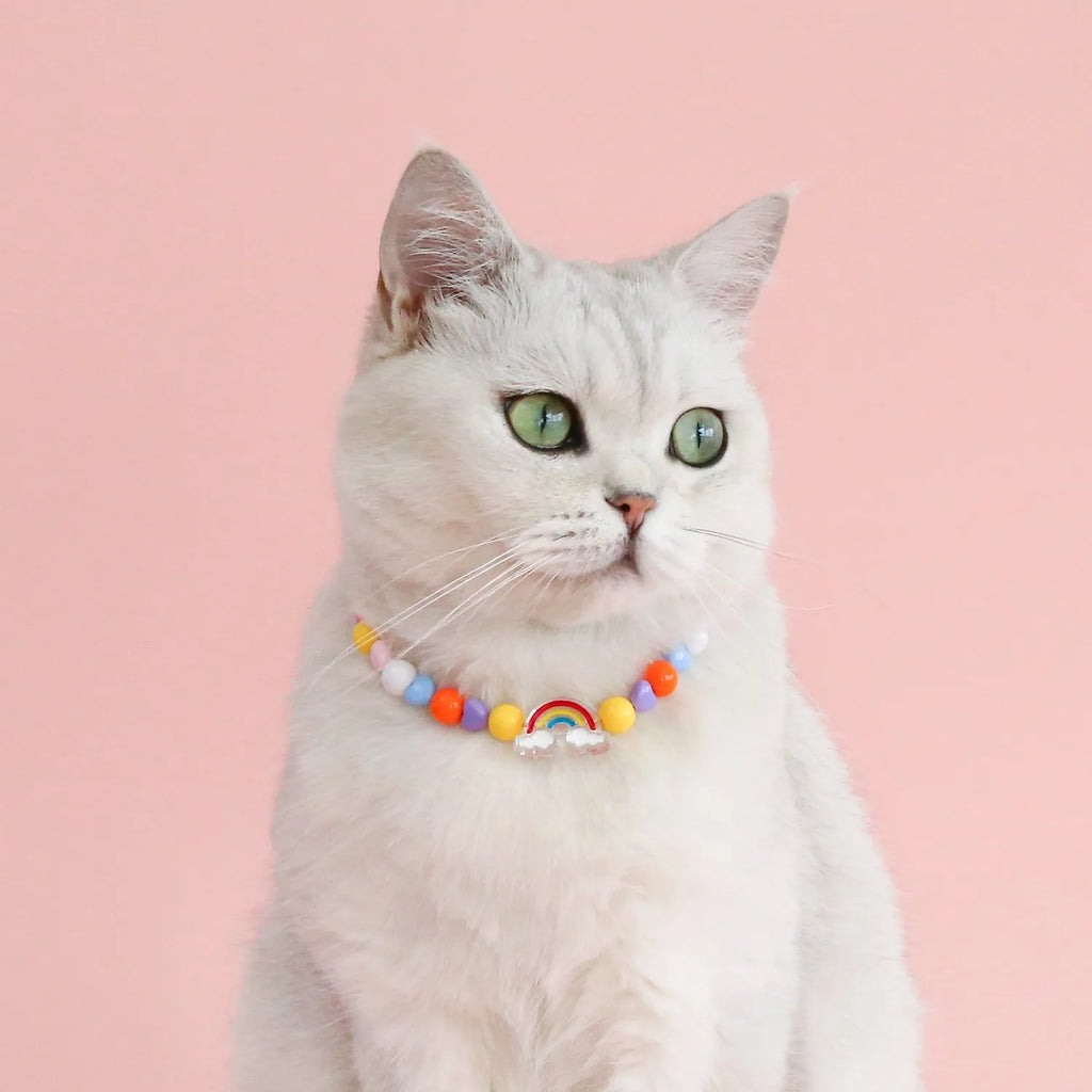 Colourful plastic bead pet necklace for a cat or dog in peach, rainbow, or small flower pattern.